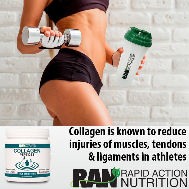 Collagen May Prevent Muscle Injuries